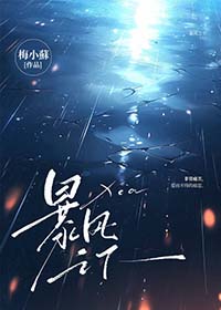 暴风之盾阿什兰